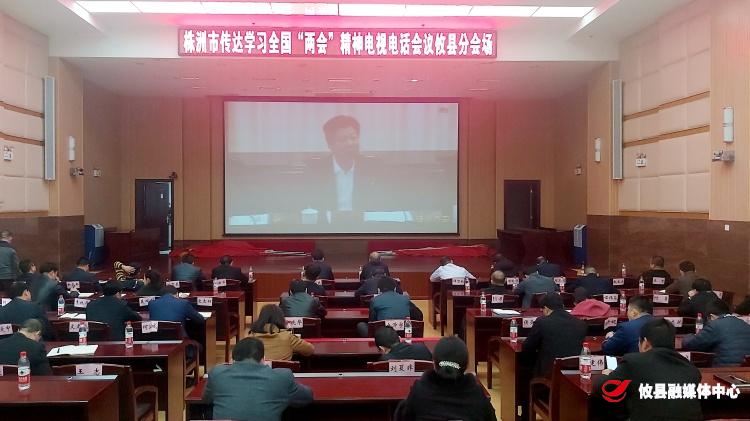 攸县收听收看株洲市传达学习全国“两会”精神电视电话会议