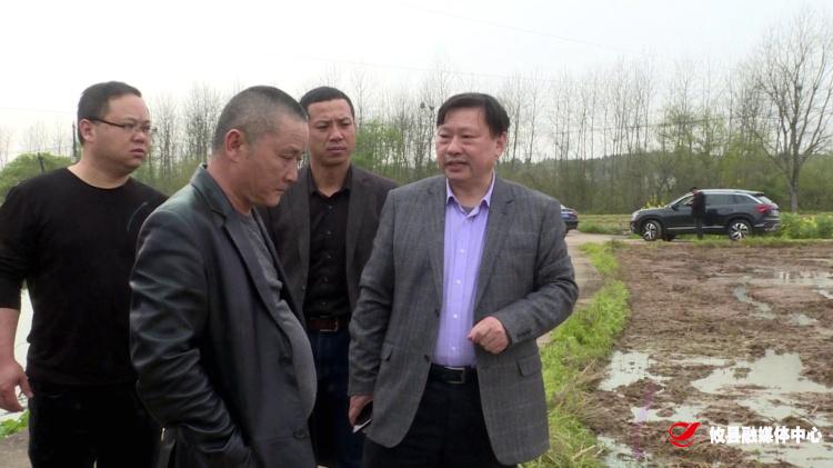 湖南省农业农村厅调研指导组来攸驻点指导粮食生产