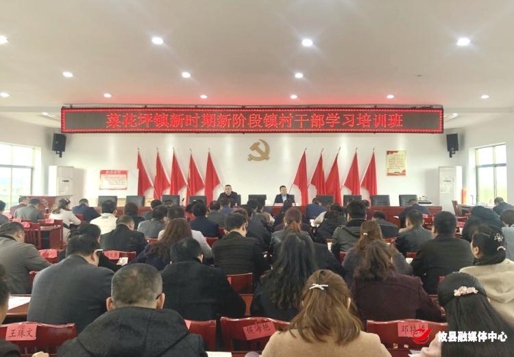【学党史 悟思想 办实事】菜花坪镇：开展党史教育，深入推进“学习年”活动