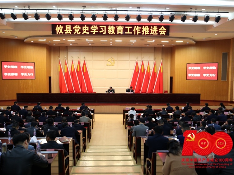 攸县召开党史学习教育工作推进会