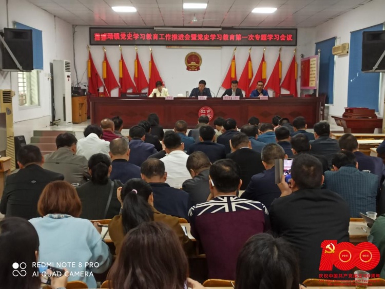 【学党史 开新局】莲塘坳镇召开党史学习教育工作推进会暨党史学习教育第一次专题学习