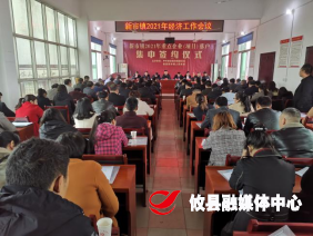 新市镇大力招商引资，谱写乡村振兴新篇章