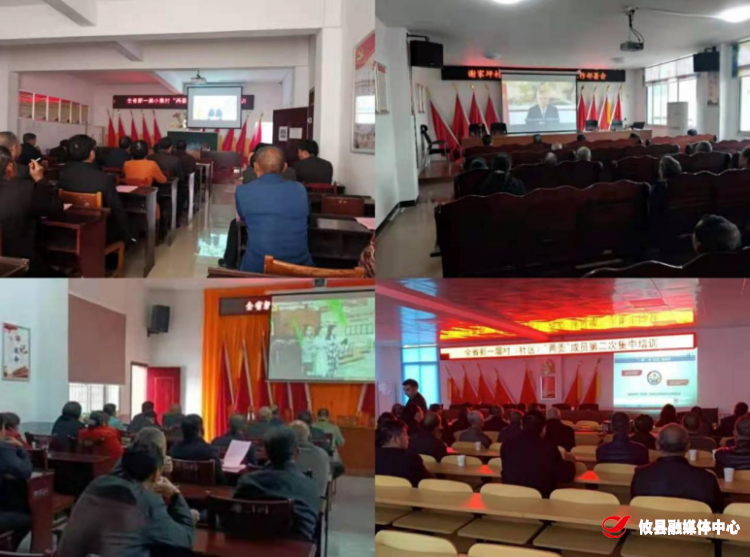 结合学习谈体会，学以致用促发展——桃水镇开展新一届村（社区）“两委”成员第二次集中培训
