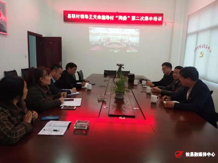 拼搏创造奇迹，奋斗书写辉煌——鸾山镇组织开展新一届“两委”成员第二次集中培训