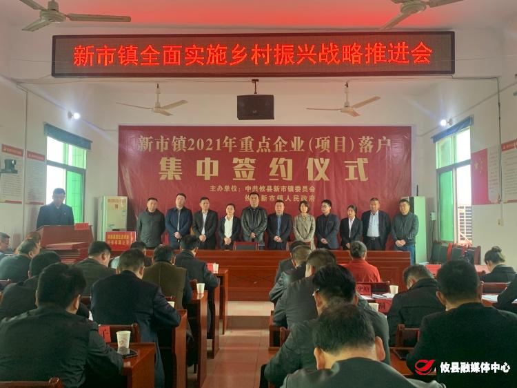 新市镇：大力招商引资助推乡村振兴