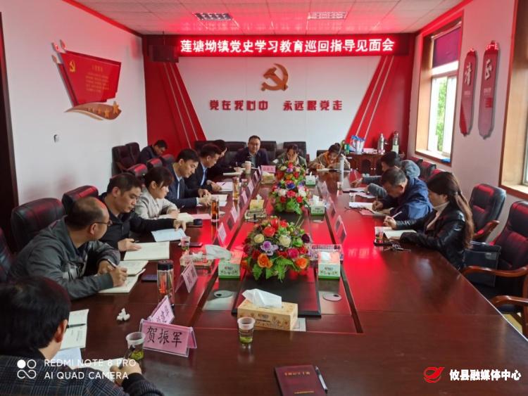 【学党史 开新局】县党史学习教育第四巡回指导组来莲塘坳镇指导工作