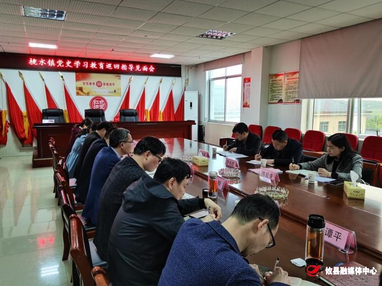 【学党史 开新局】桃水镇召开党史学习教育巡回指导见面会