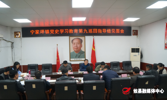 【学党史 开新局】宁家坪镇召开党史学习教育指导组见面会