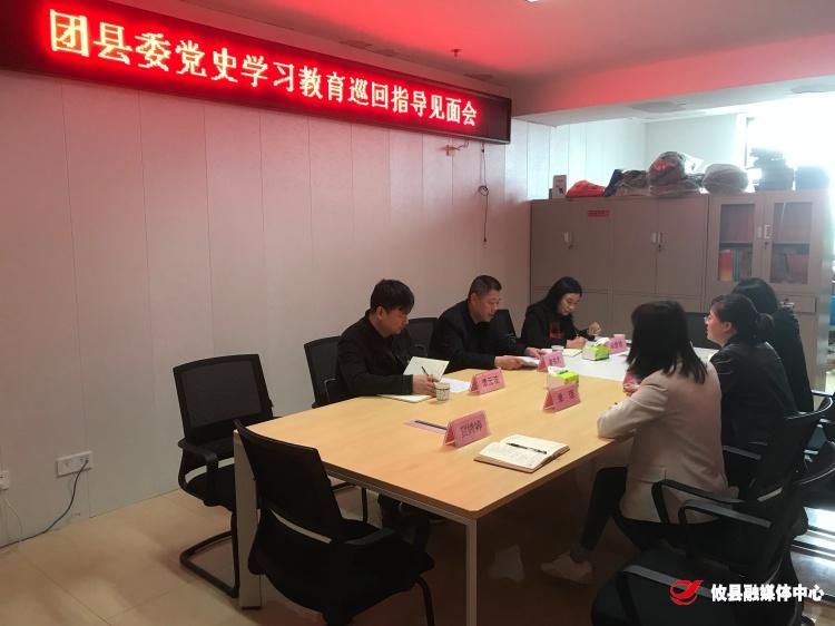 【学党史 开新局】团县委召开党史学习教育巡回指导见面会