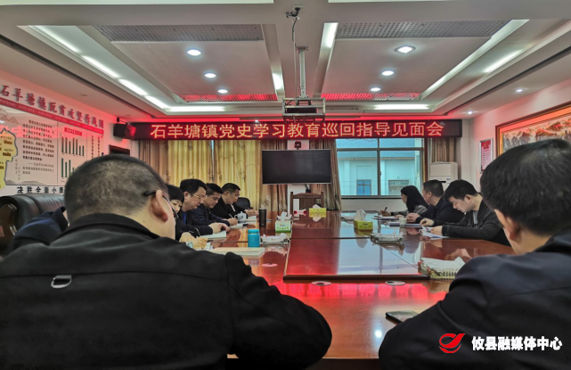 【学党史 开新局】石羊塘镇召开党史学习教育巡回指导见面会