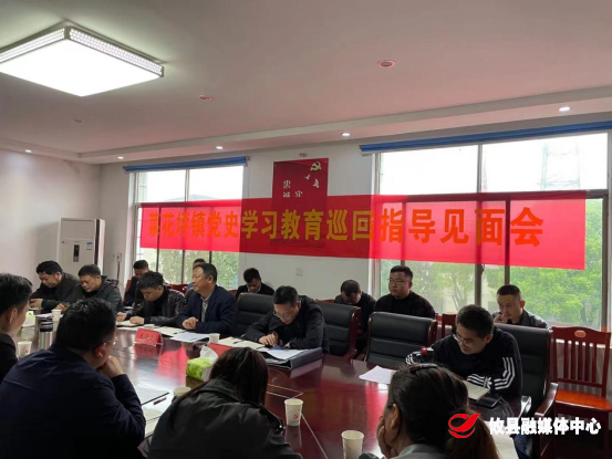 【学党史 开新局】菜花坪镇召开党史学习教育巡回指导见面会