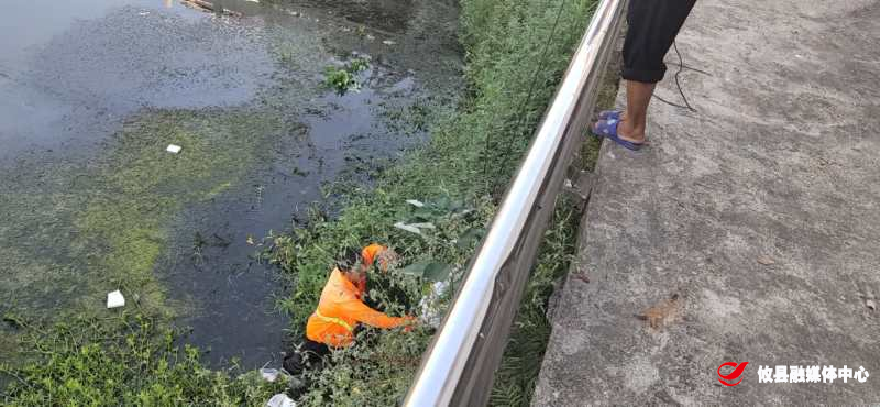 渌田镇：护碧水蓝天 建绿色家园