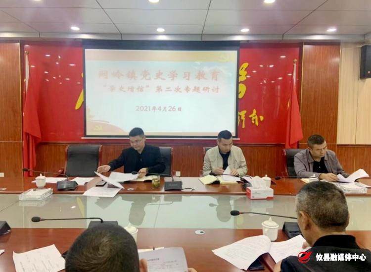 【学党史 开新局】网岭镇开展党史学习教育第二次专题学习