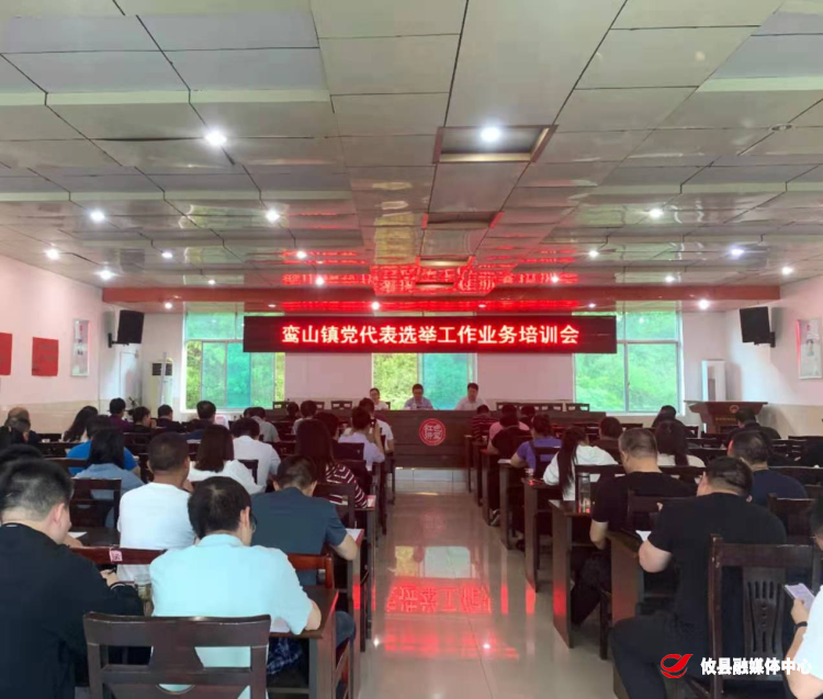 鸾山镇召开党代表选举工作业务培训会