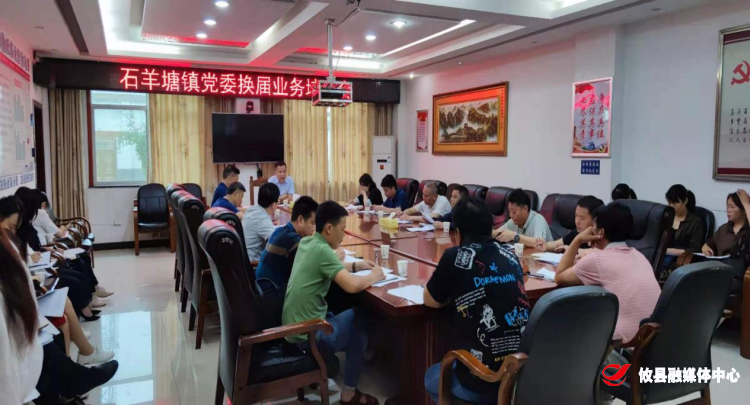 石羊塘镇召开各村党委换届业务培训会