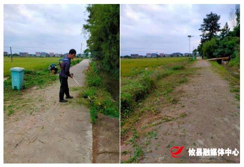 【党旗下的新时代文明实践：我为群众办实事】联星街道沙陵陂村：清除杂草 美化环境