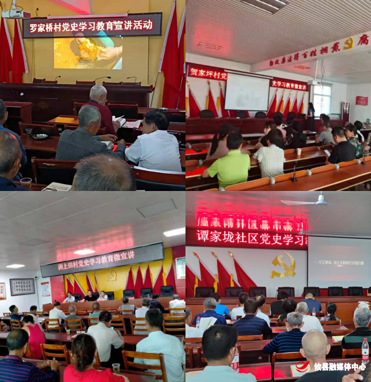 【学党史 开新局】石羊塘镇开展基层党组织党史学习教育微宣讲活动