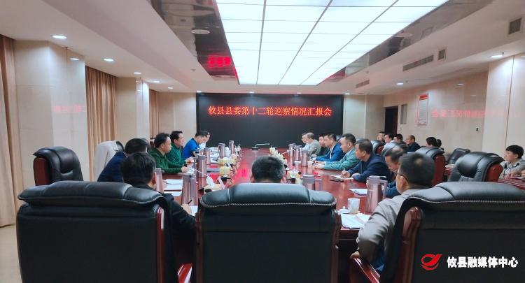 攸县召开县委第十二轮巡察情况汇报会