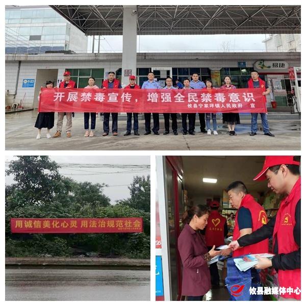 宁家坪镇积极开展农村法治宣传教育月活动