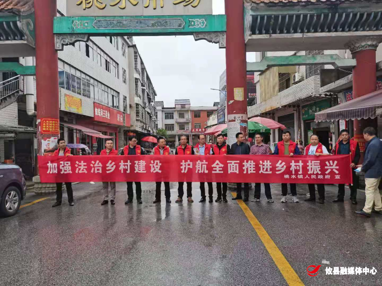 桃水司法所：组织开展农村法治宣传月活动