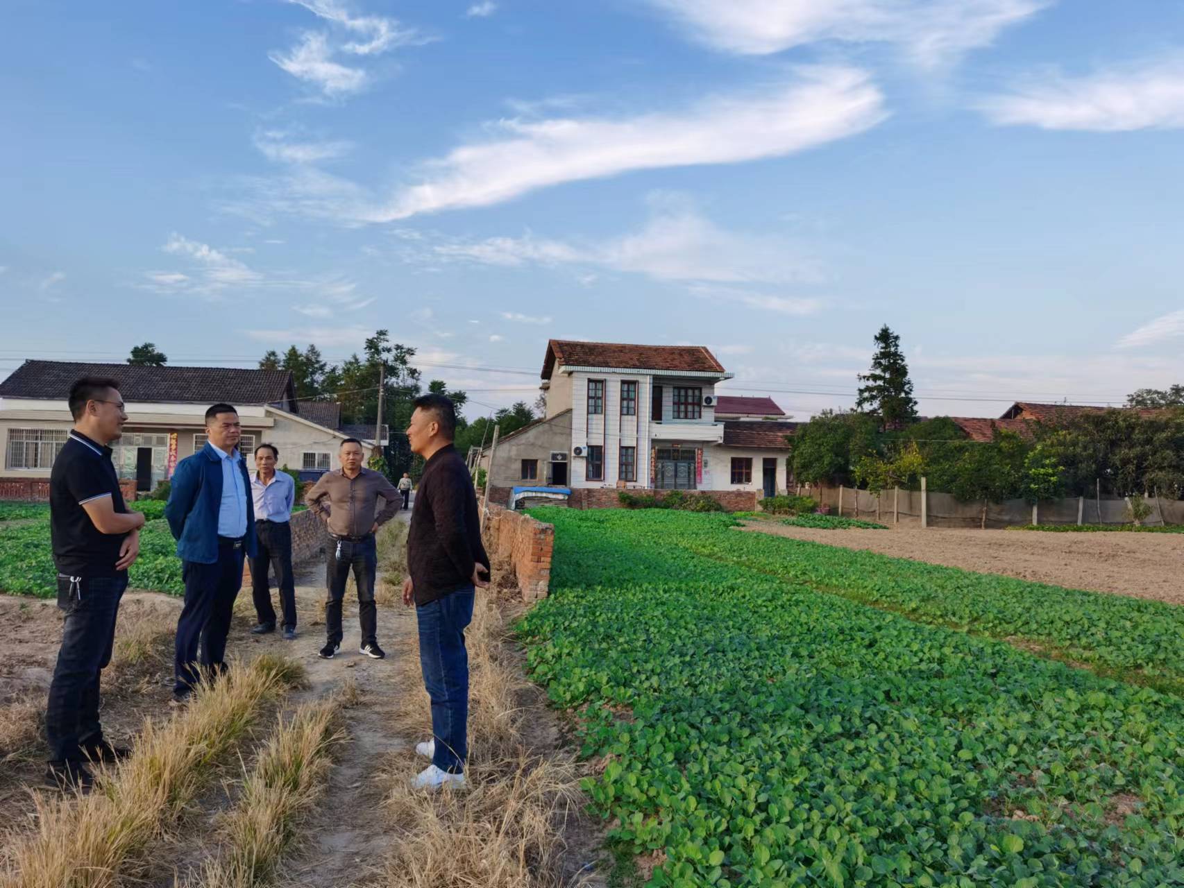 常德鼎城韩公渡镇：秋种正当时 油菜播种忙