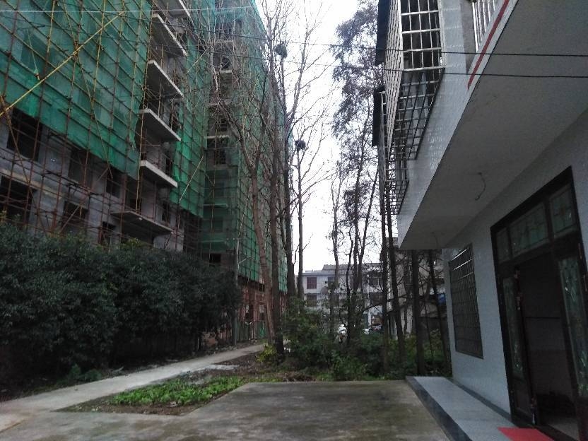 请领导实查