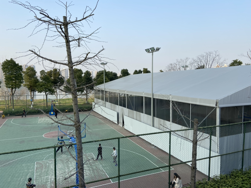 关于取消沅江风光带“室内球场”的建议