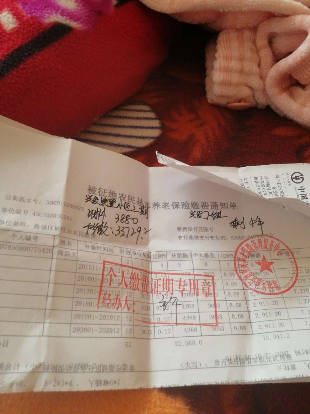 谁为我作主