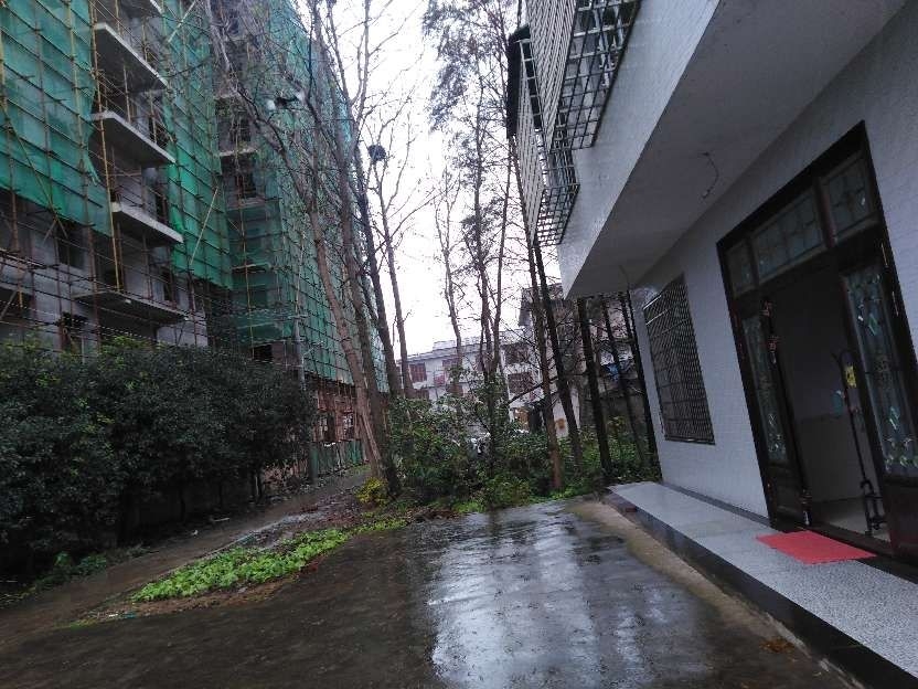 蒿子港镇高低层间距及层高不合规
