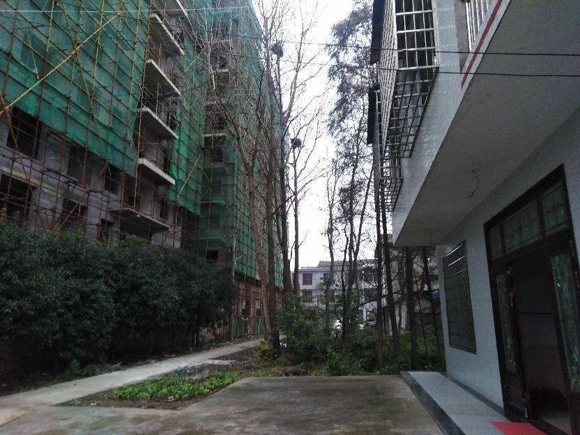 蒿子港镇高低层间距及层高不合规