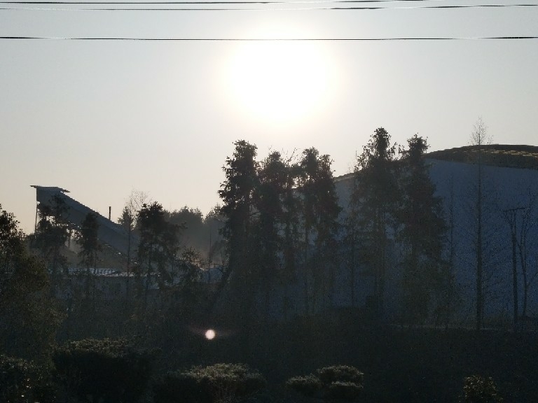 噪音严重扰民