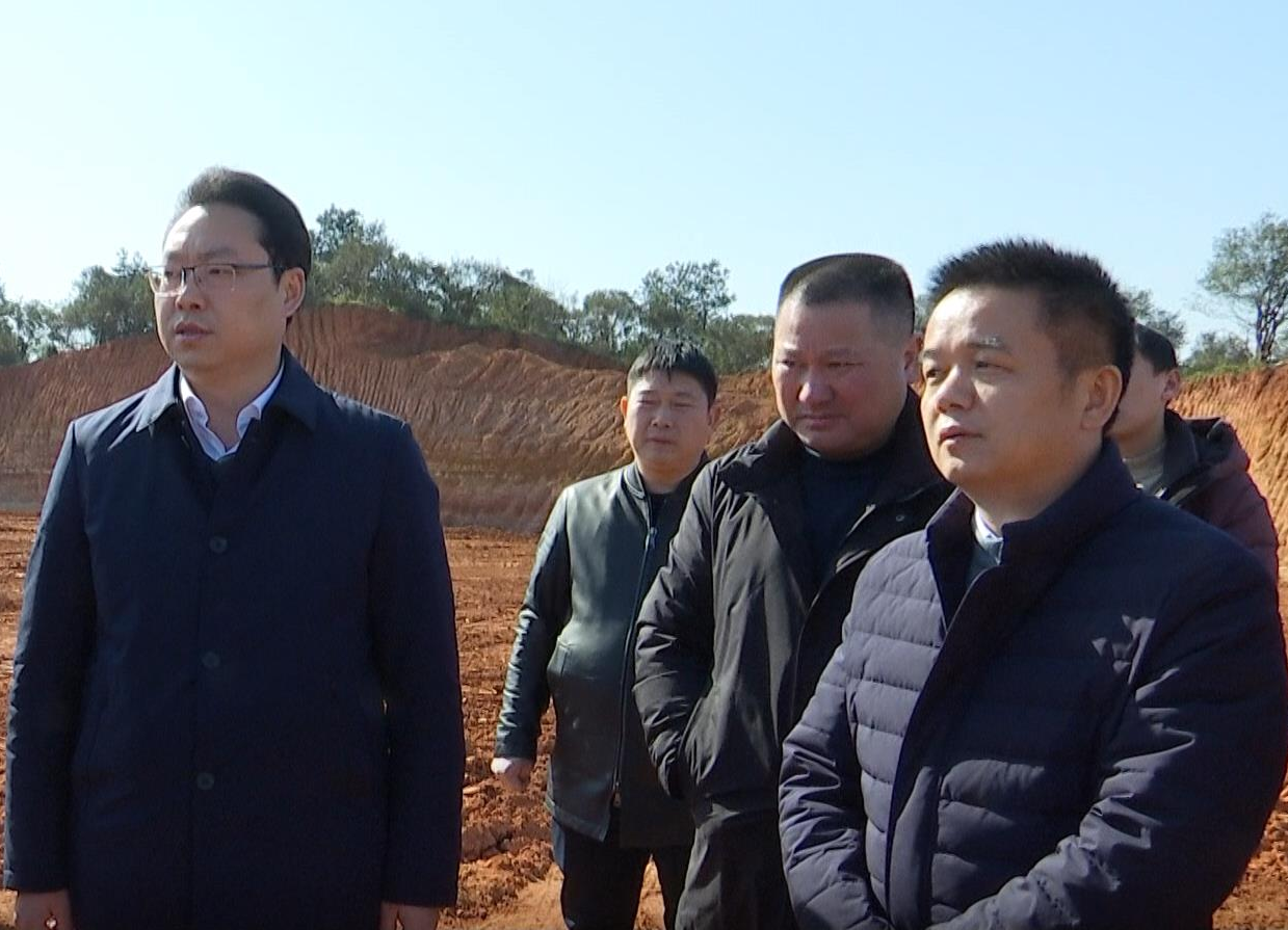 陈远督导非法挖沙取土整治工作