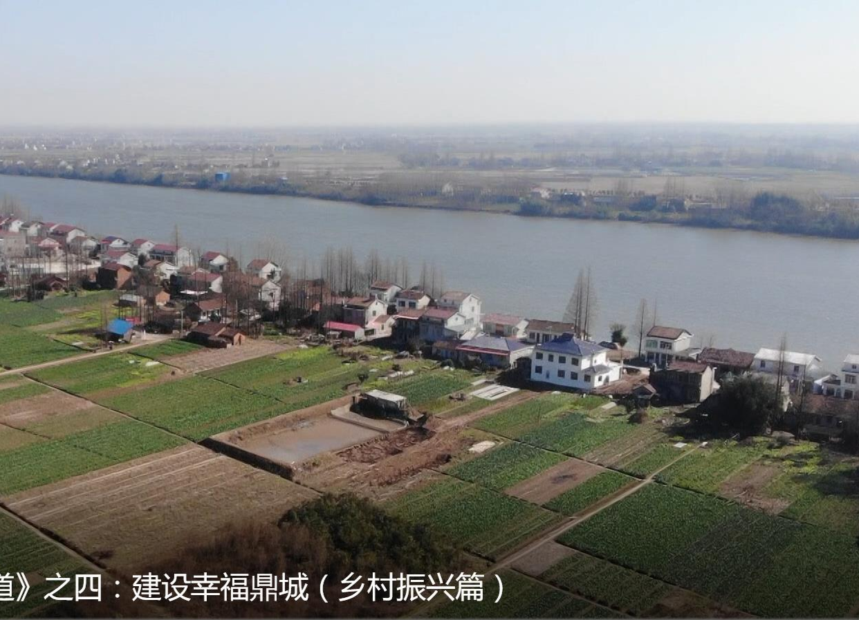 《学习贯彻区委全会精神系列报道》之四：建设幸福鼎城（乡村振兴篇）
