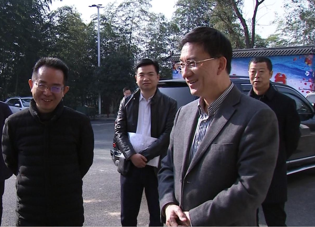 朱金平到双桥坪镇调研村（社区）“两委”换届及乡村振兴工作