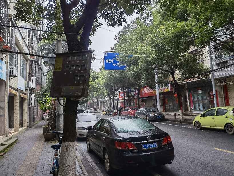 双谭路“蜘蛛网”多次投诉无任何实质性结果，今年可以吗？