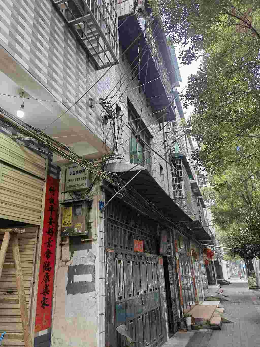 双谭路“蜘蛛网”多次投诉无任何实质性结果，今年可以吗？
