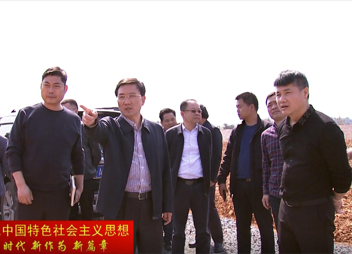 朱金平调度石板滩关闭石煤矿区生态修复工作