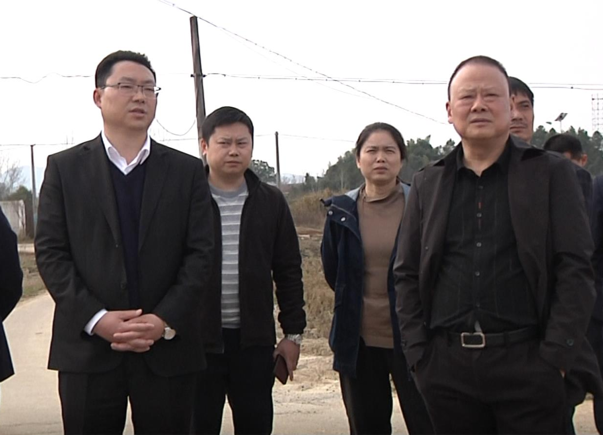 陈远到镇德桥镇调研农业农村工作