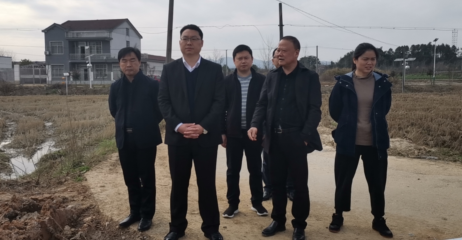 陈远调研镇德桥镇农业农村工作