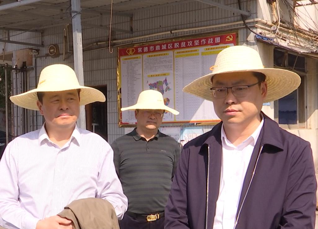 陈远调度2021年度鼎城区重点民生实事项目