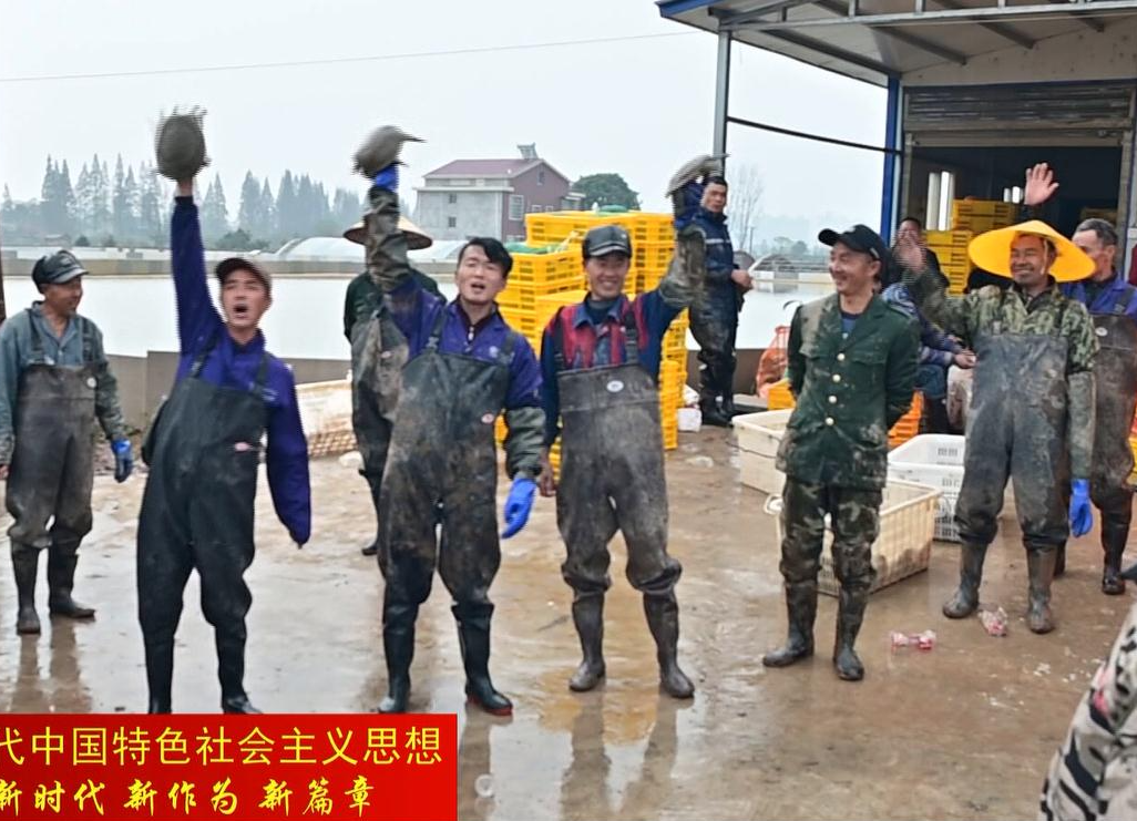 鼎城：由“快产”到“慢养”  生态甲鱼助农增收