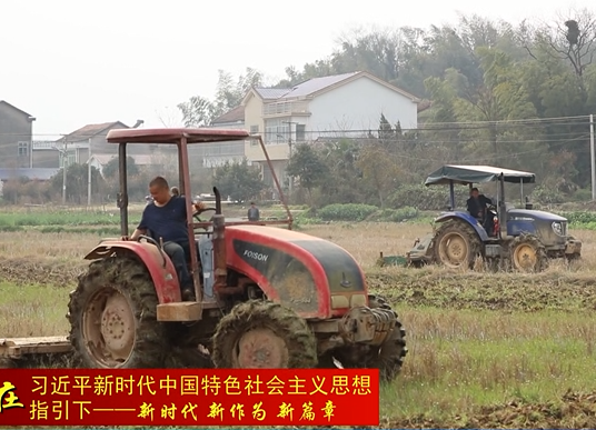 双桥坪镇：抢农时  保春耕