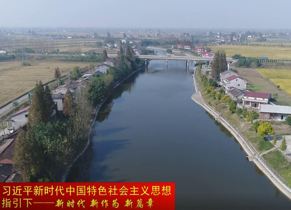 蒿子港镇：河畅 水清 岸绿 景美的生态水乡