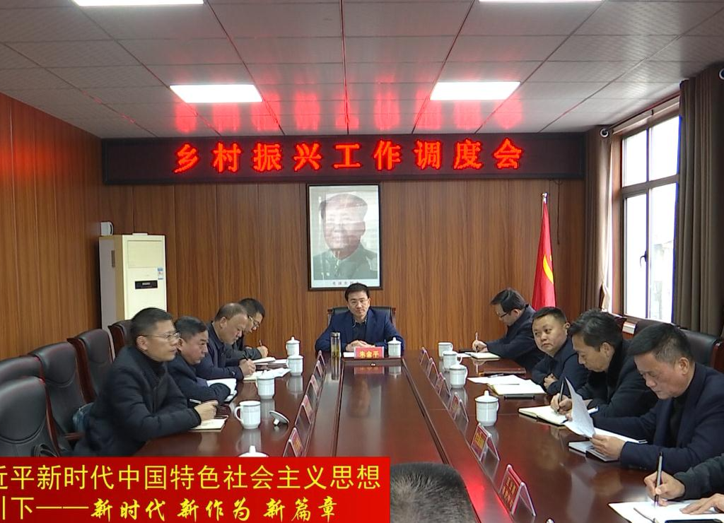 朱金平：集中精力 突出特色 高标准推进乡村振兴工作