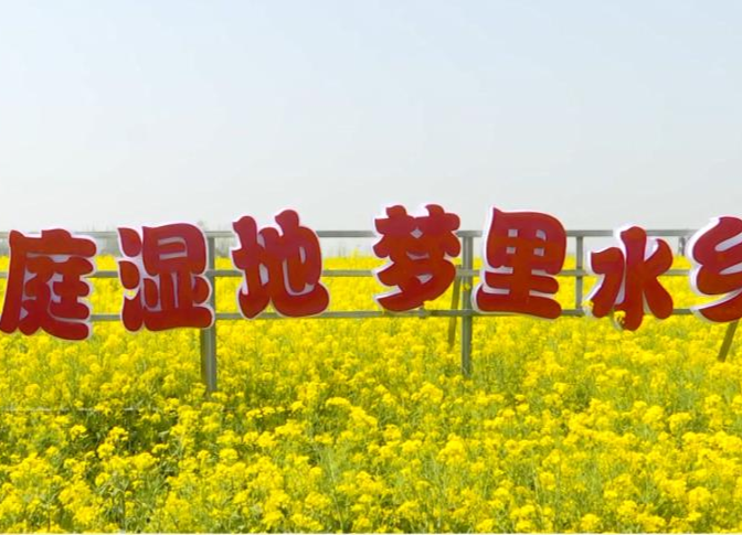 鼎城区十美堂镇第七届油菜花节3月16日开幕