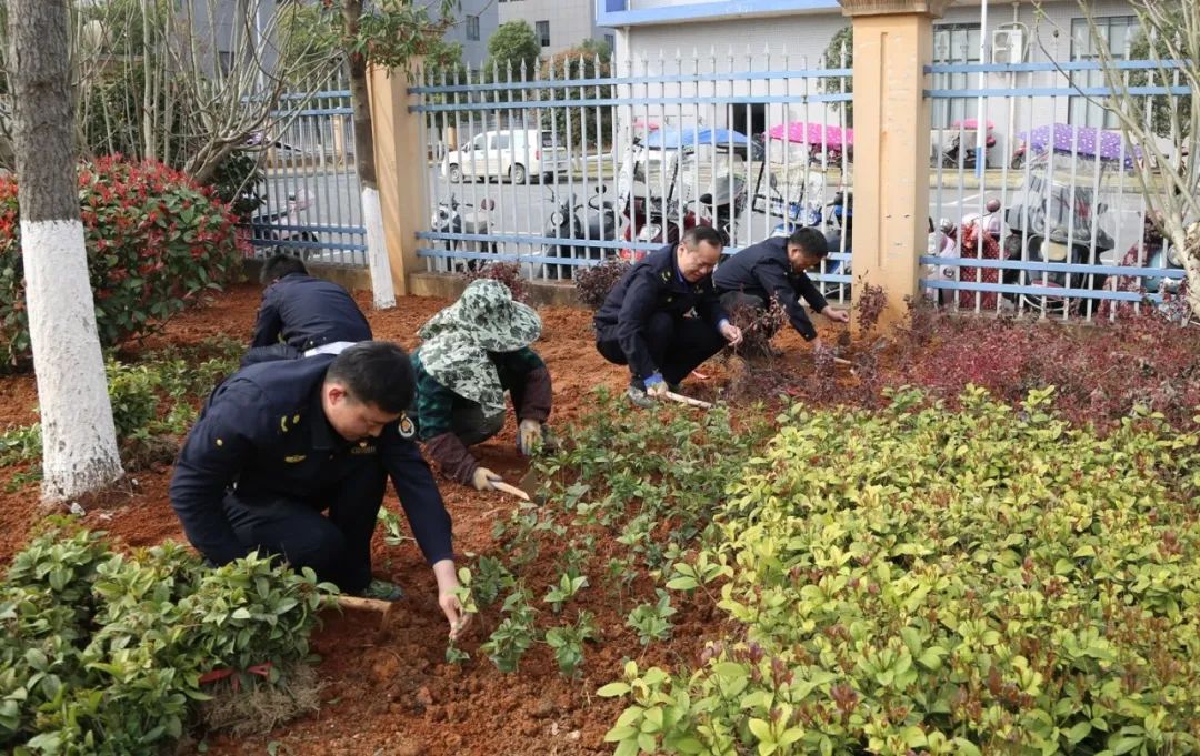 常德高新区：联合义务植树 园区再添新绿