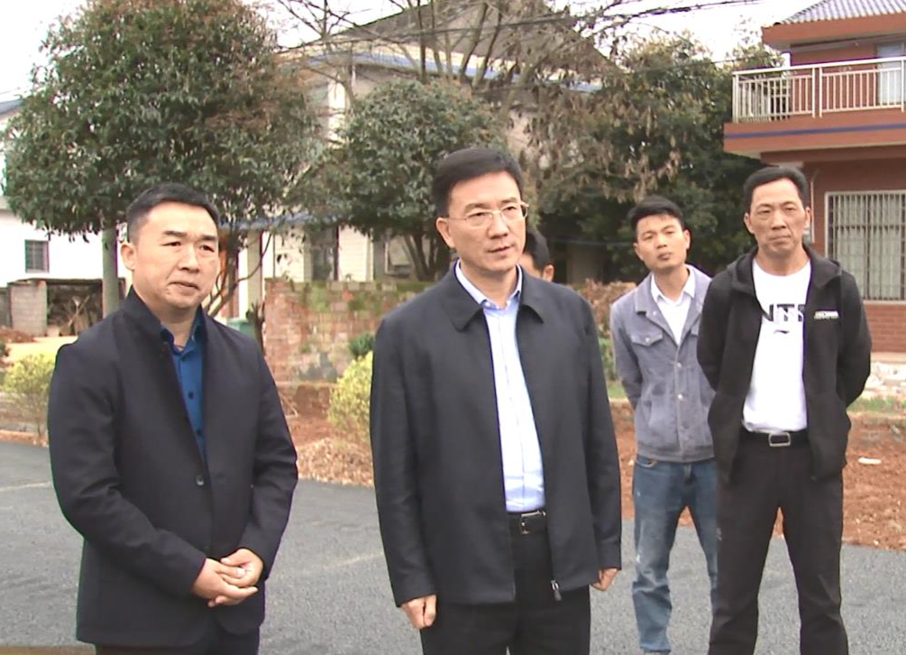 朱金平到谢家铺镇、石板滩镇督导春耕生产等工作
