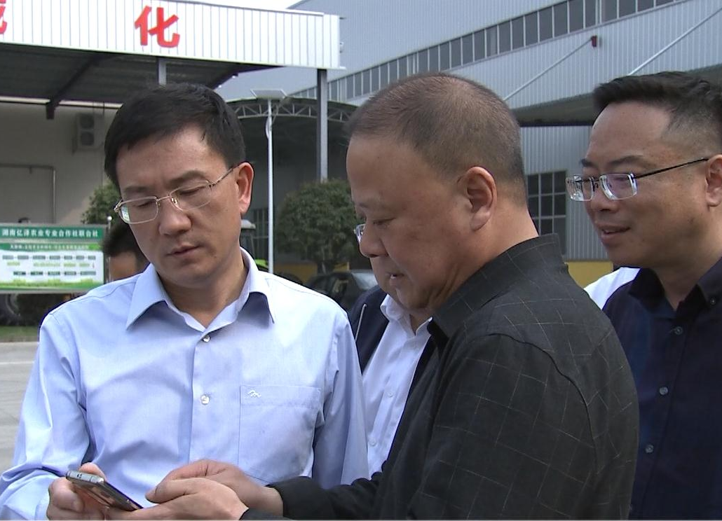 朱金平到谢家铺镇督导春耕生产工作