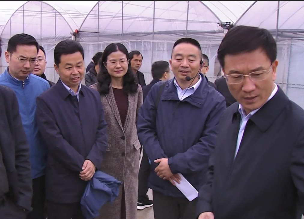朱金平：镇村党组织书记要扛牢粮食安全责任 不折不扣完成粮食生产任务