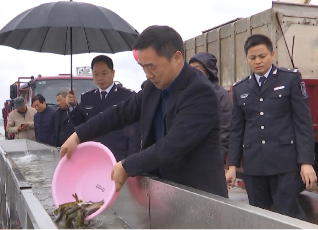 鼎城：400万尾鱼苗在沅江“安家”